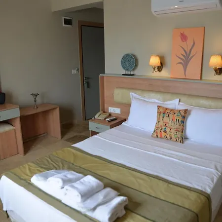 Ebruli Cunda Ayvalı